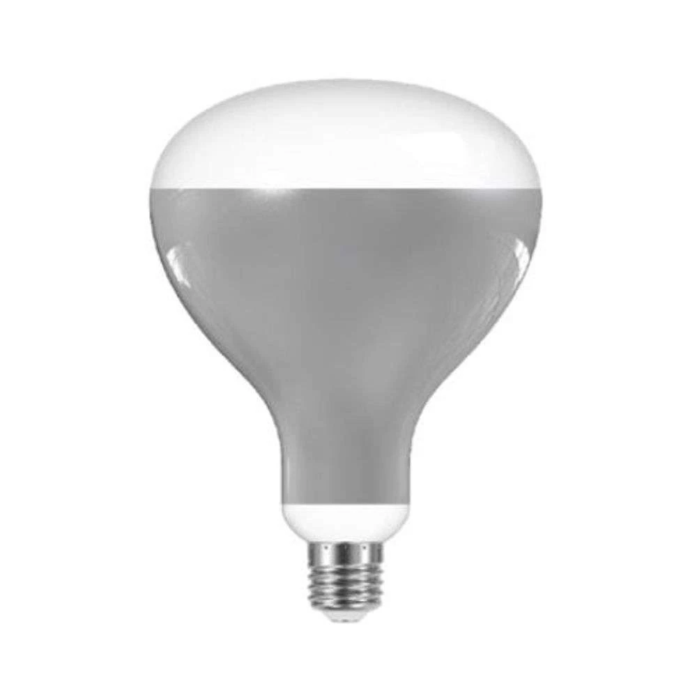 Lichtbron LED 13W (1000lm) R125 2700K E27 - Greenplux - Koop Online