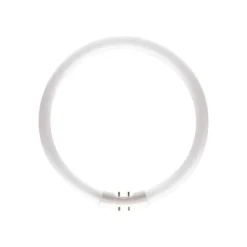 Lichtbron 22W/830 Tl5 Circulaire Buis 2Gx13 - Philips - Koop Online